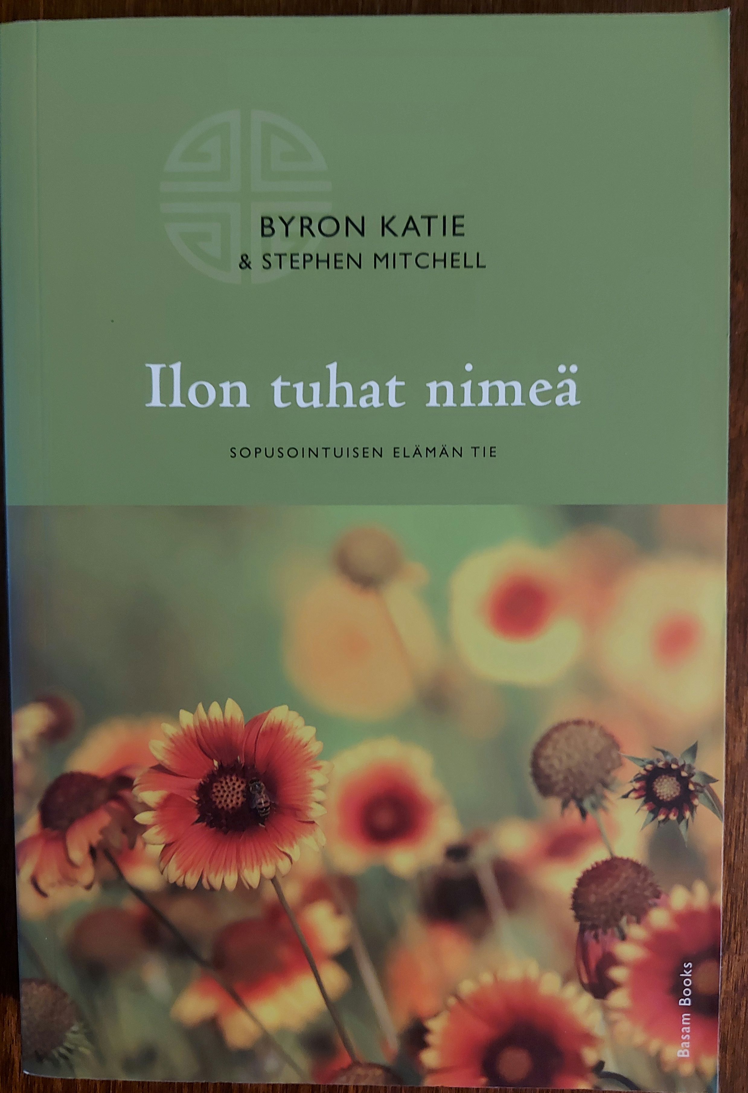 Ilon tuhat niemeä tetukansi